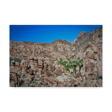 Janice Sullivan 'Desert Oasis Canyon' Canvas Art,16x24